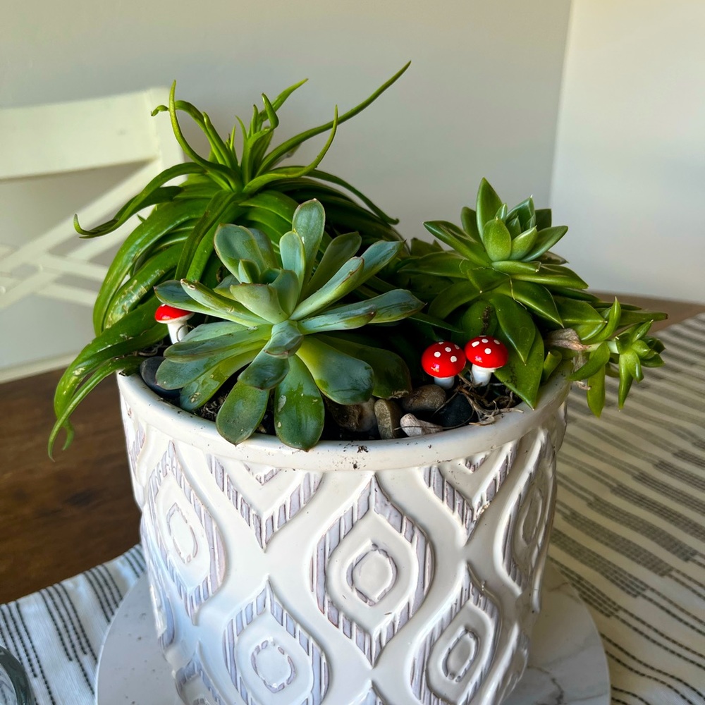 5 pcs Handmade Garden Mushroom Garden Decor